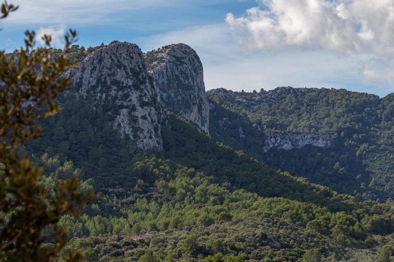 Villa Muscarolas By 360 Pollença